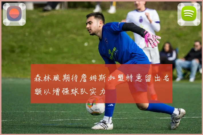 森林狼期待詹姆斯加盟特意留出名额以增强球队实力