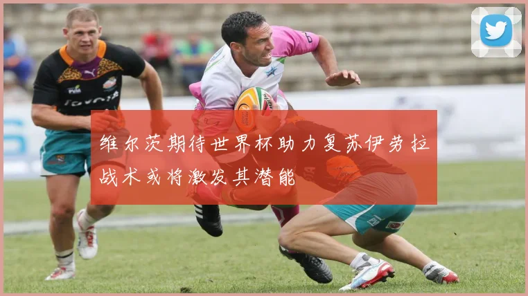 维尔茨期待世界杯助力复苏伊劳拉战术或将激发其潜能
